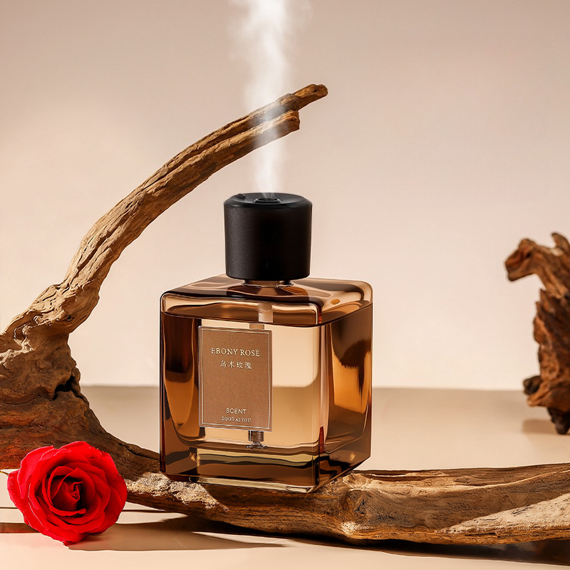 Diffusore di Aromi da 500ml, D - Home Fragrance M&S Disinfectant Hack recensione e prezzo